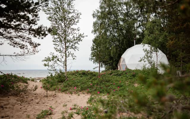 Лужки