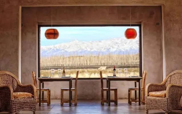 Тупонгато