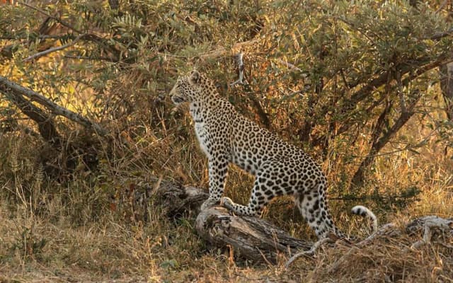 Baobab Ridge Private Lodge