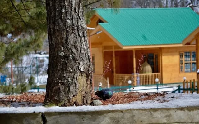 Dawat-e-Drung by FrozenFall Resort