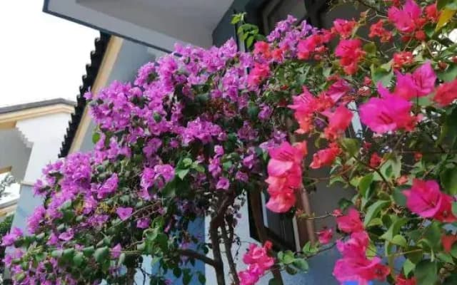 Qilihai Beauty Villa (Sanya Haitang Branch)