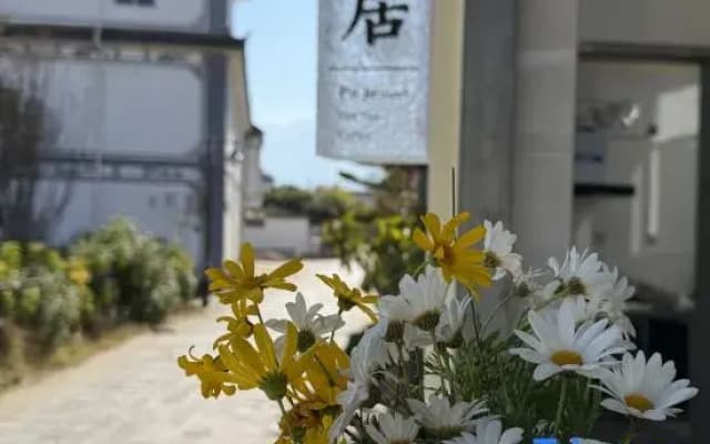 Puju Homestay (Erhai)