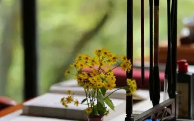 Mount Qingcheng Three Cats  Forest Spa Homestay