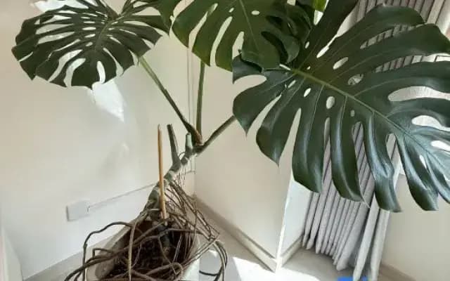 Tangshan Haitang Boutique Homestay (Hetou Old Street)