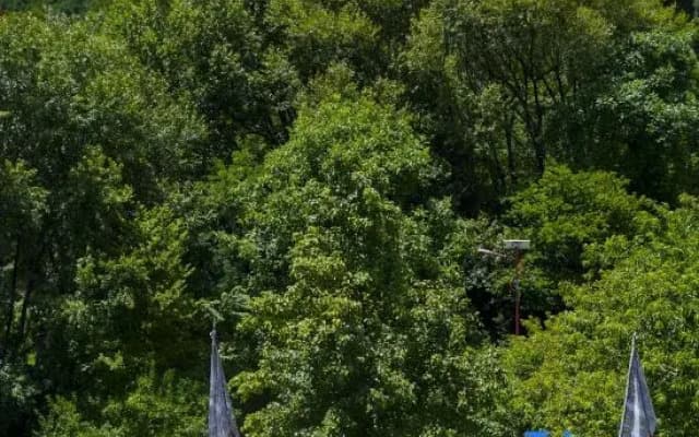 Rubu Jingyi Mountain Residence Homestay