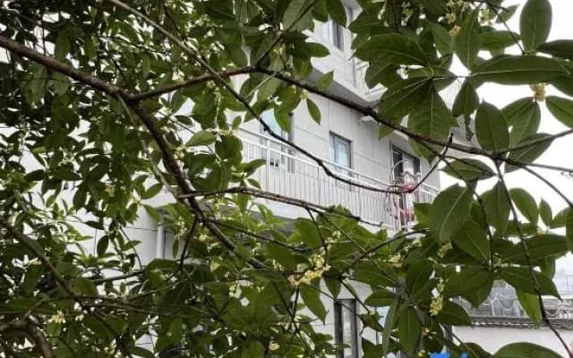 YouRan Ju Homestay