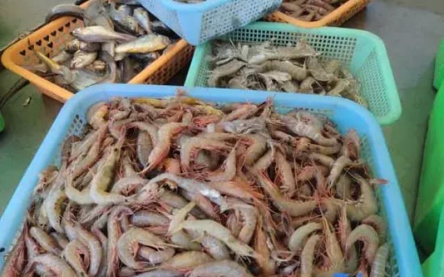 Wenling Shitang Peninsula Homestay