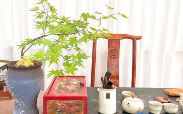 Island Diary • Leisure Vacation Villa Homestay (Meizhou Island Branch)