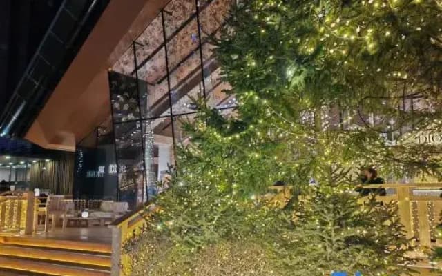 Vanke Songhua Lake Qingshan Cooked Snow Homestay