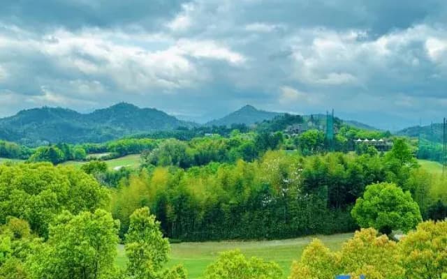 Anji Anlin Mountain Tree Holiday Villa