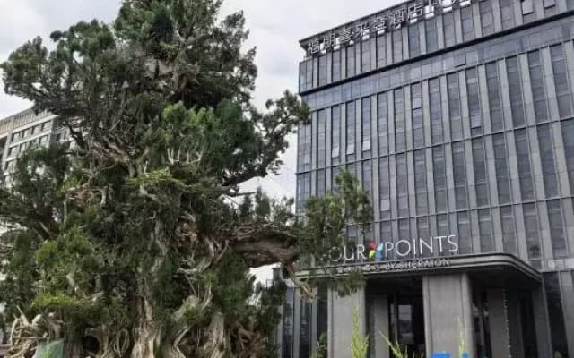 Four Points By Sheraton Zibo Zichuan