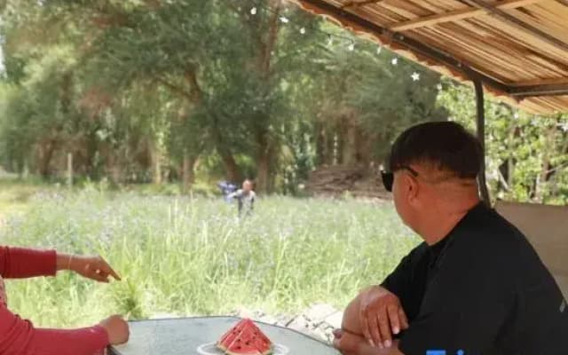 The Ruins Garden Homestay (Mingsha Mountain Crescent Spring Scenic Area Branch)