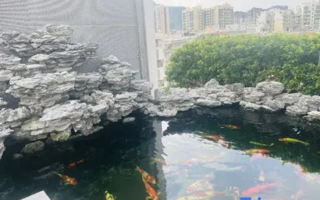 Yunfu Hongxin Boutique Hotel (Wuyue Plaza Branch, Yunfu)