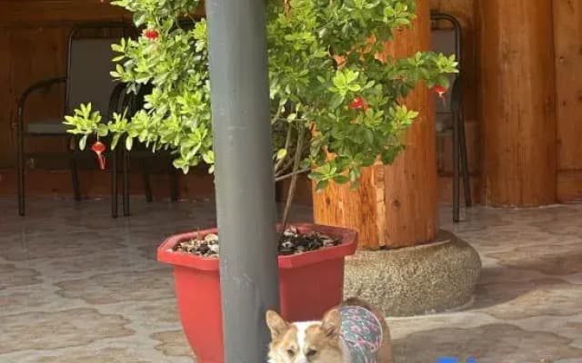 Qingke Xiangju  Homestay