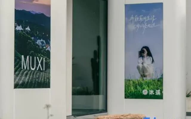 Muxi · MUXI Bamboo Sea Swimming Pool Designer Vacation Boutique Stay