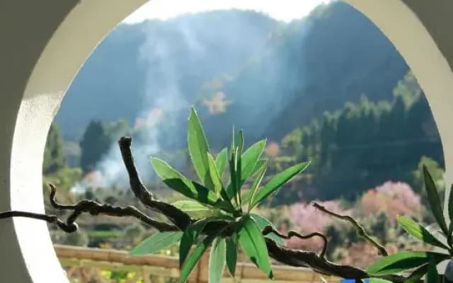 Bamboo Seclusion Wild Luxury Valley Retreat