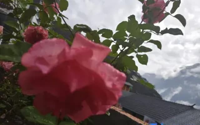 Xiaying Banshan Homestay (Tiger Leaping Gorge)