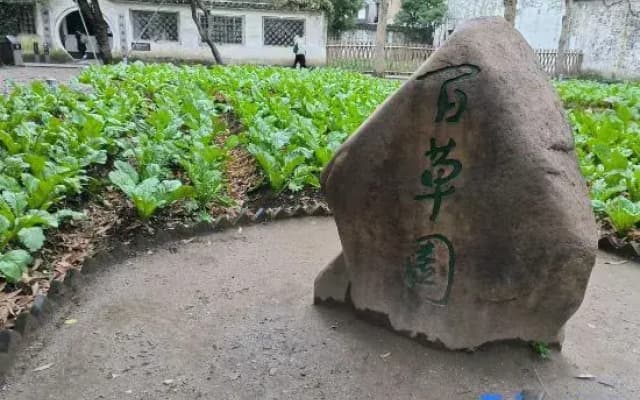 Veegle By Landison Shaoxing College Hotel