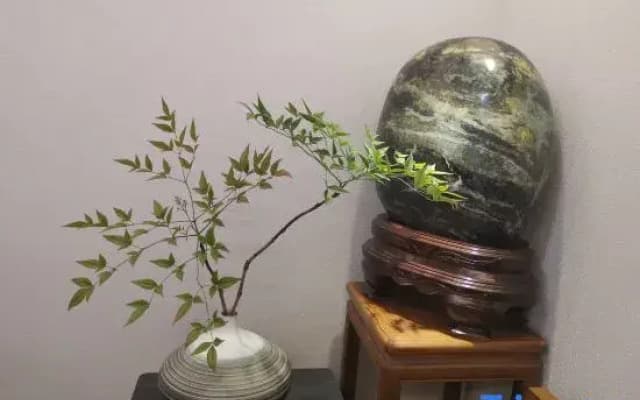 Jinyun Mumu Homestay