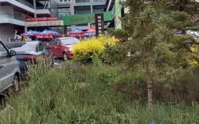 Hengcheng Intelligent Film and Television Hotel