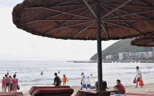 Dadonghai The Cat House Seaview Homestay