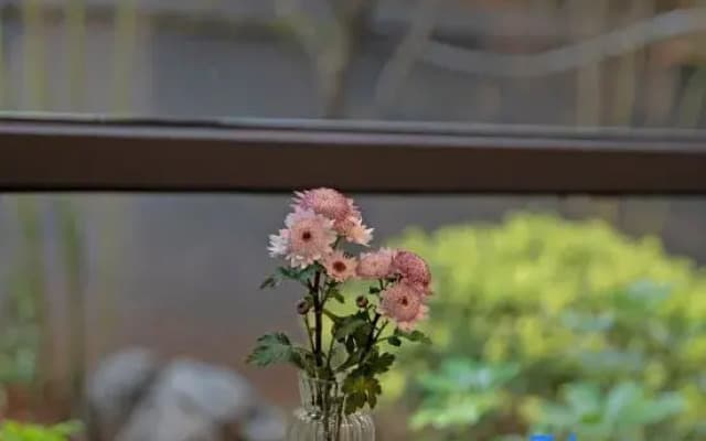 Wuyishan Banshan Villa Homestay (Sangu Resort Area Impression Dahongpao Theater)