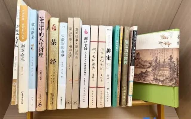 Anzhi Yu Smart Song-Style Aesthetics Designer Hotel