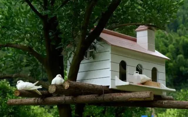 The Sixth Season Vacation Manor