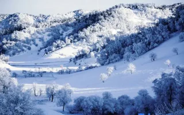 Qianyi Travel Homestay Hotel