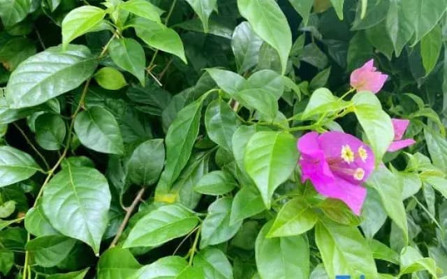 Nanping Jianyang Youruiwan Homestay