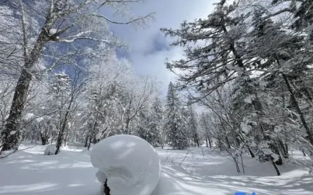 Xiangye · Qitinxue The Beauty of The East Snow View Homestay (Snow Town Scenic Area)