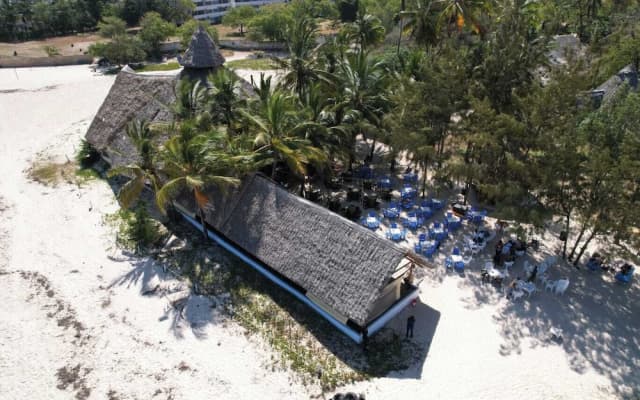 The New Big Tree Beach Resort