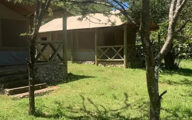 Eco mara forest camp