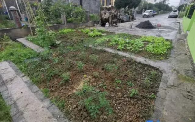 Longjia Quadrangle Inn Homestay