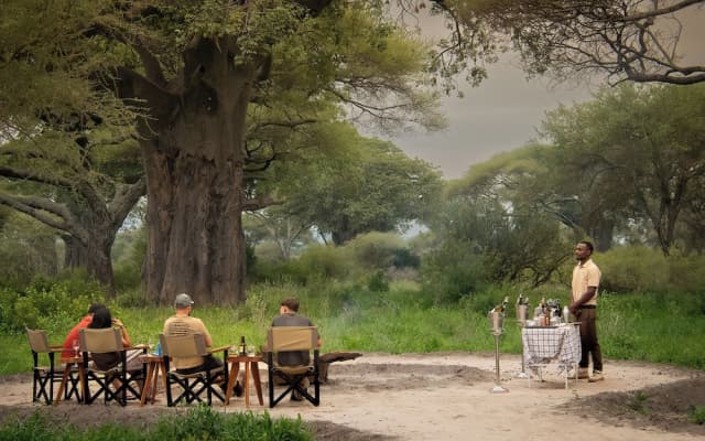 Tarangire Greenland Retreat