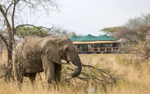 Ndoto Serengeti Camps