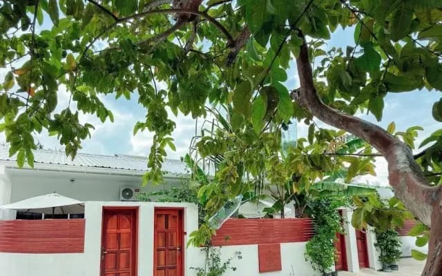The Wave Dhigurah