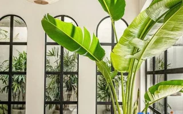 Lux Designed Villa 1 BR Kerobokan Seminyak