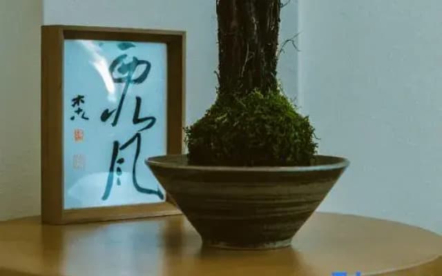 Songfeng Flower Moon Homestay