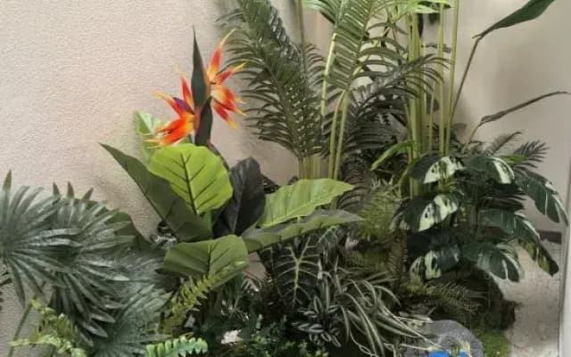 Shangye Mingyuan Homestay