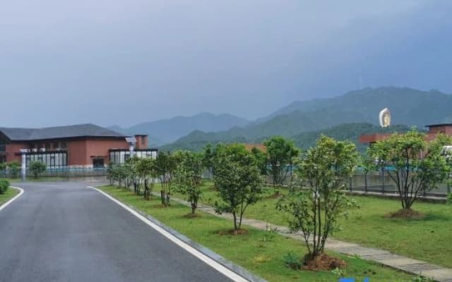 Camellia Town