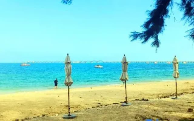 Xili Garden Flower Language Courtyard Garden Coffee Boutique Stay (Weizhou Island Shell Beach)
