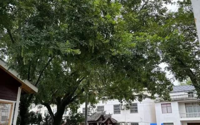 Chaji Guanhe Chaojia Homestay