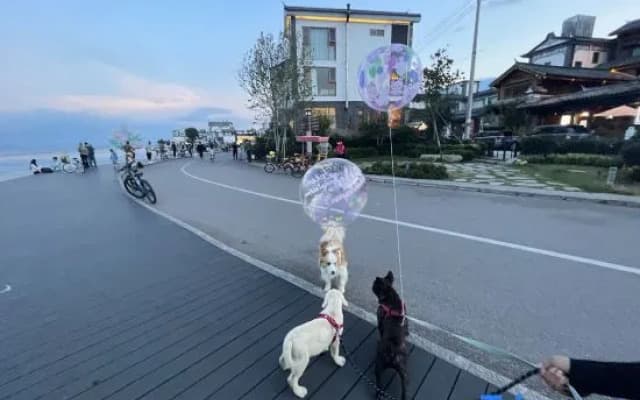 Jiuwanli Boutique B&B (South Gate Store, Dali Ancient City)