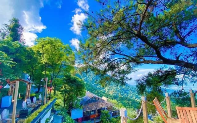 Mo Mang House Tam Đao