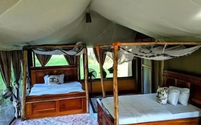Double G Safaris and Camp Mikumi