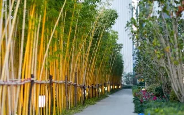 Xinhua International Hotel