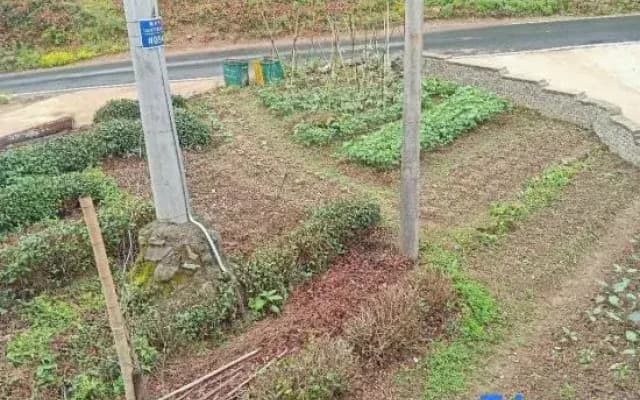 Jing County Qingya Renjia Farm Stay