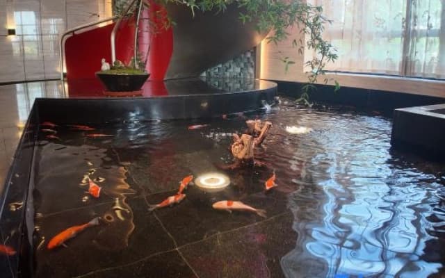 Better Joy Hotel Qing Yang