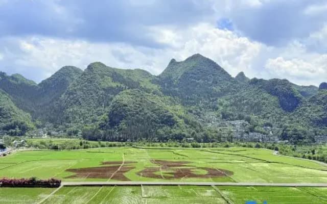 Wanfenglin Xiguan Camp